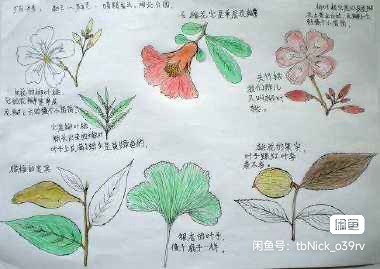 美术课程转让