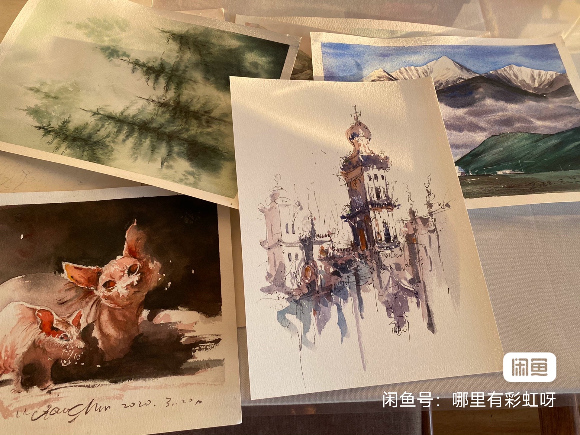 红衫画室课程转让