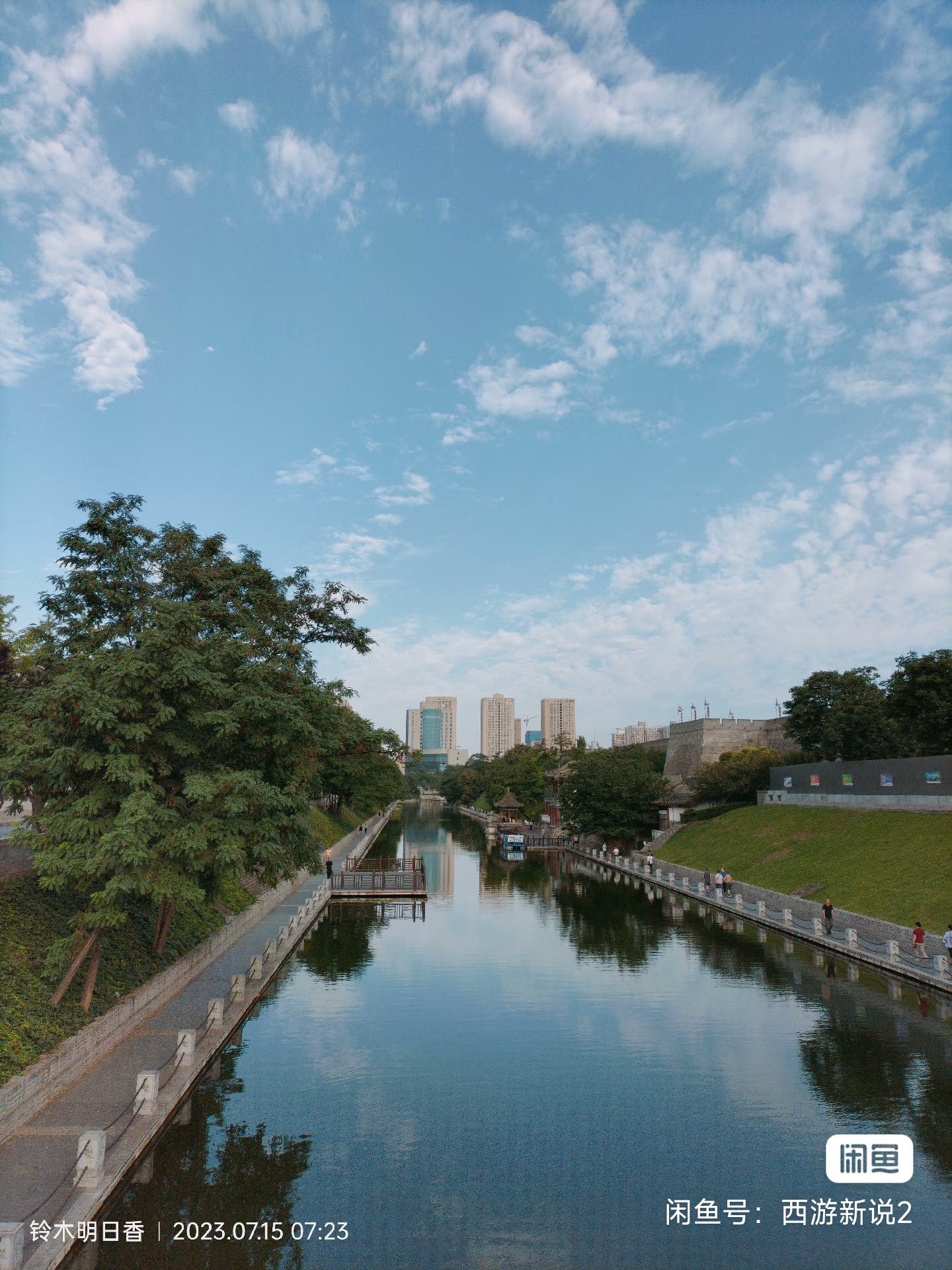 缤纷鸟课程转让