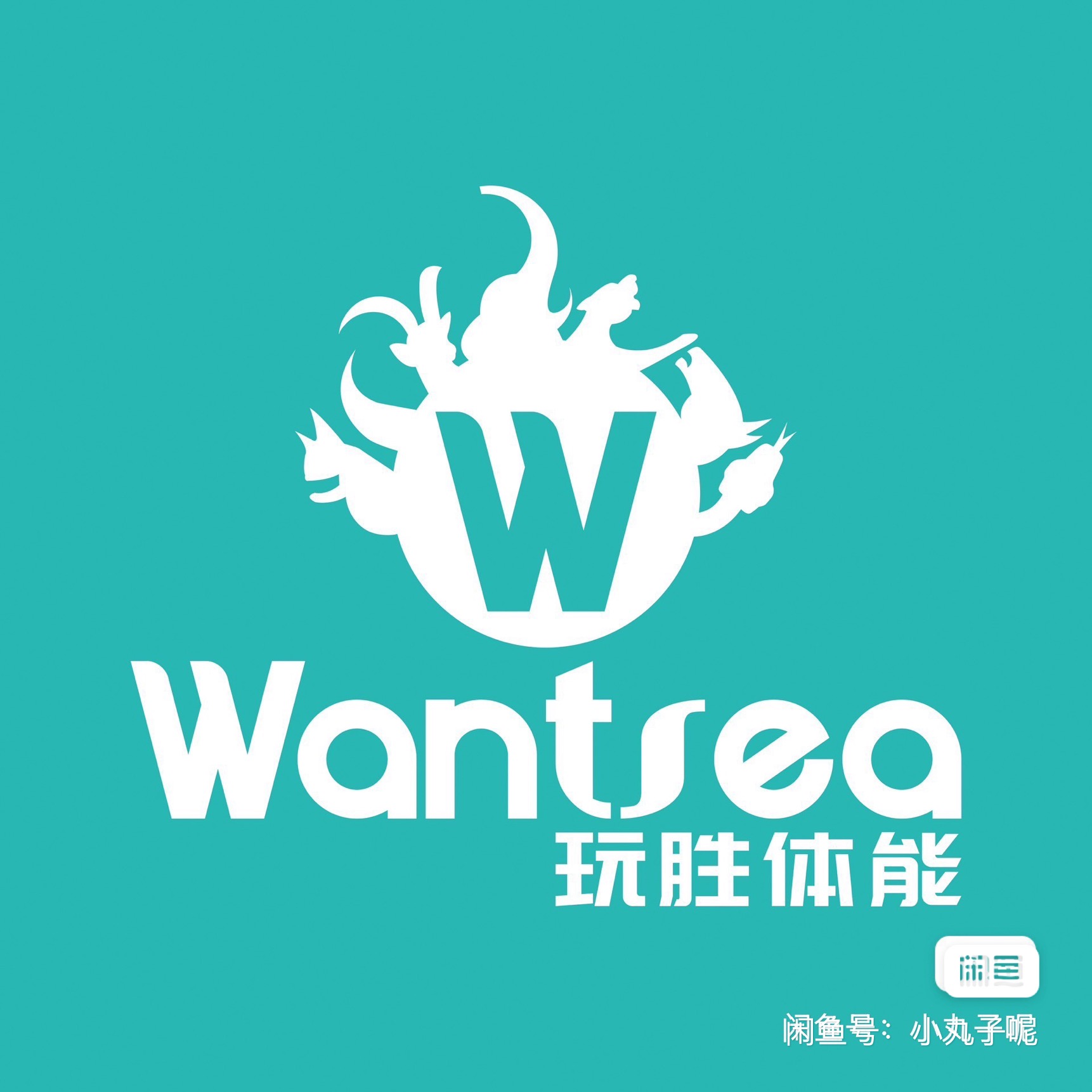 玩胜青少儿体能课程转让