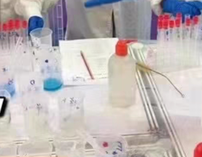 柏拉图学园课程转让