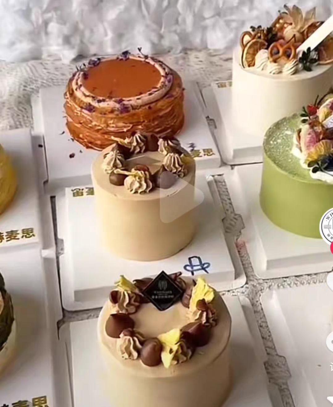 赫麦思课程转让