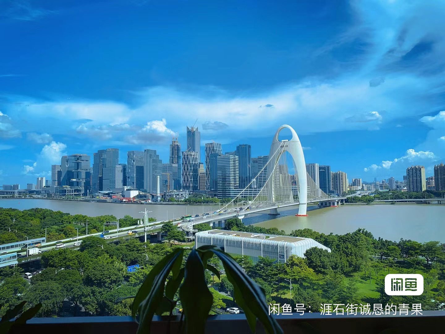 SOFIT普拉提课程转让