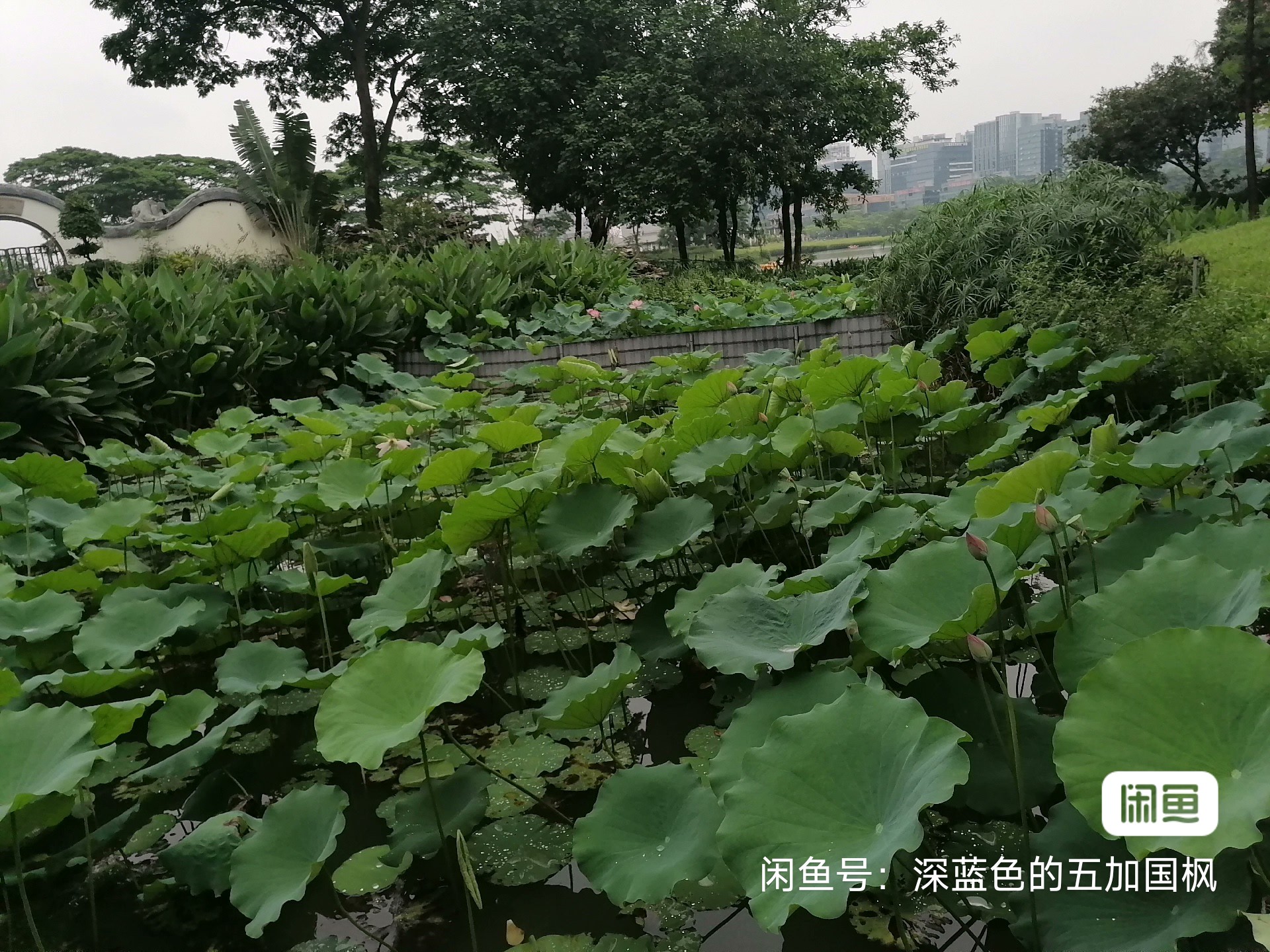 美术课程转让