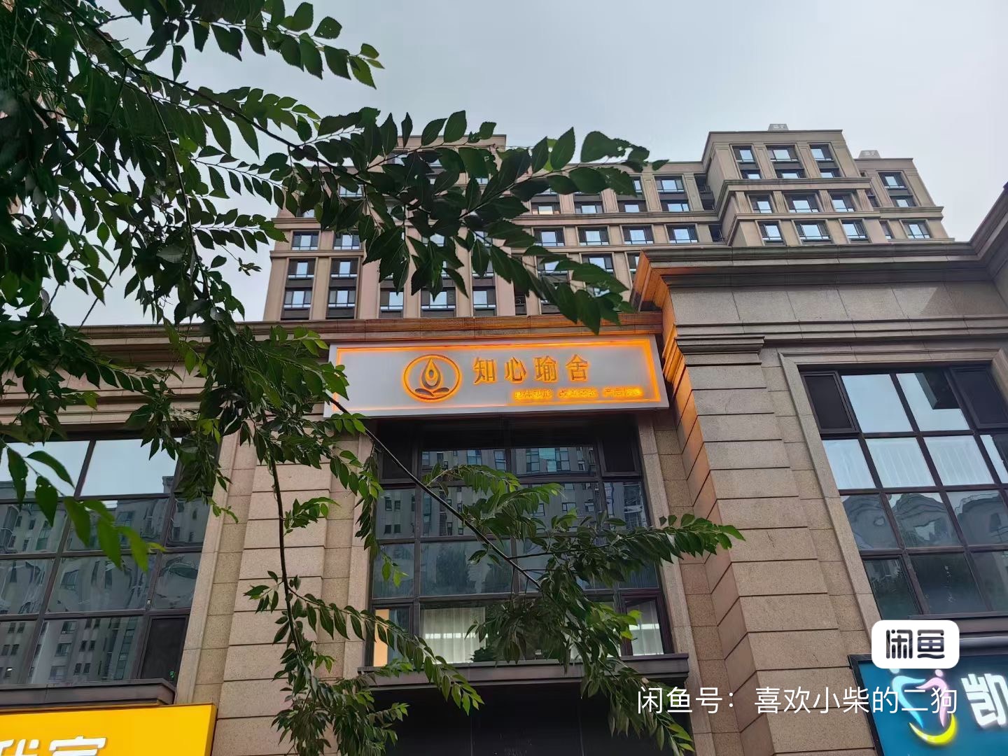 知心瑜伽课程转让