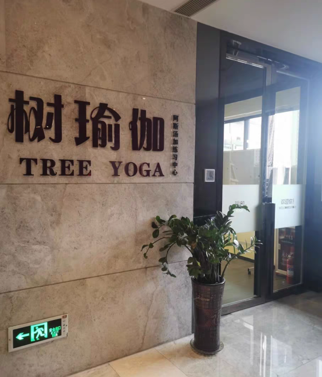 树瑜伽课程转让