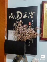 浅夏画室课程转让