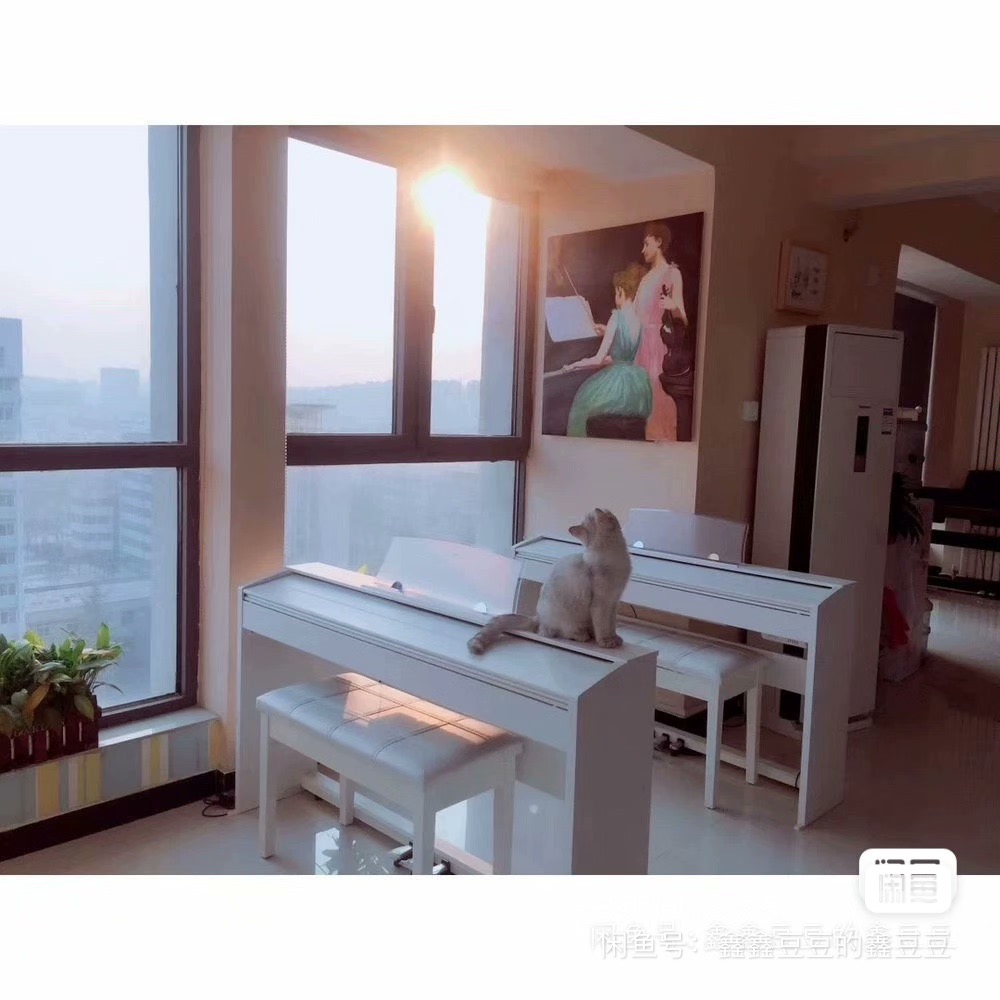 悠然音乐艺术中心课程转让