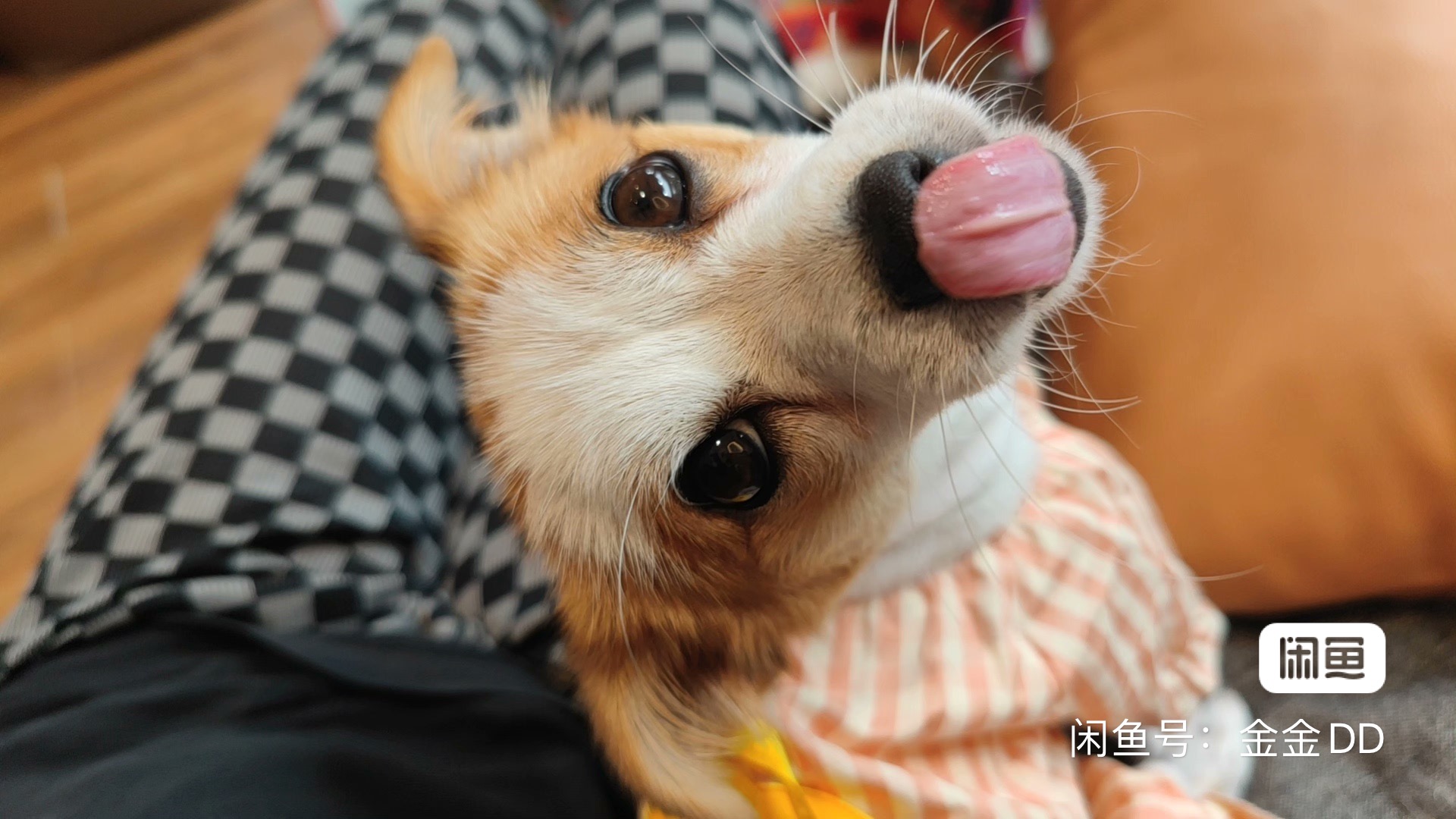 雅思托福课程转让