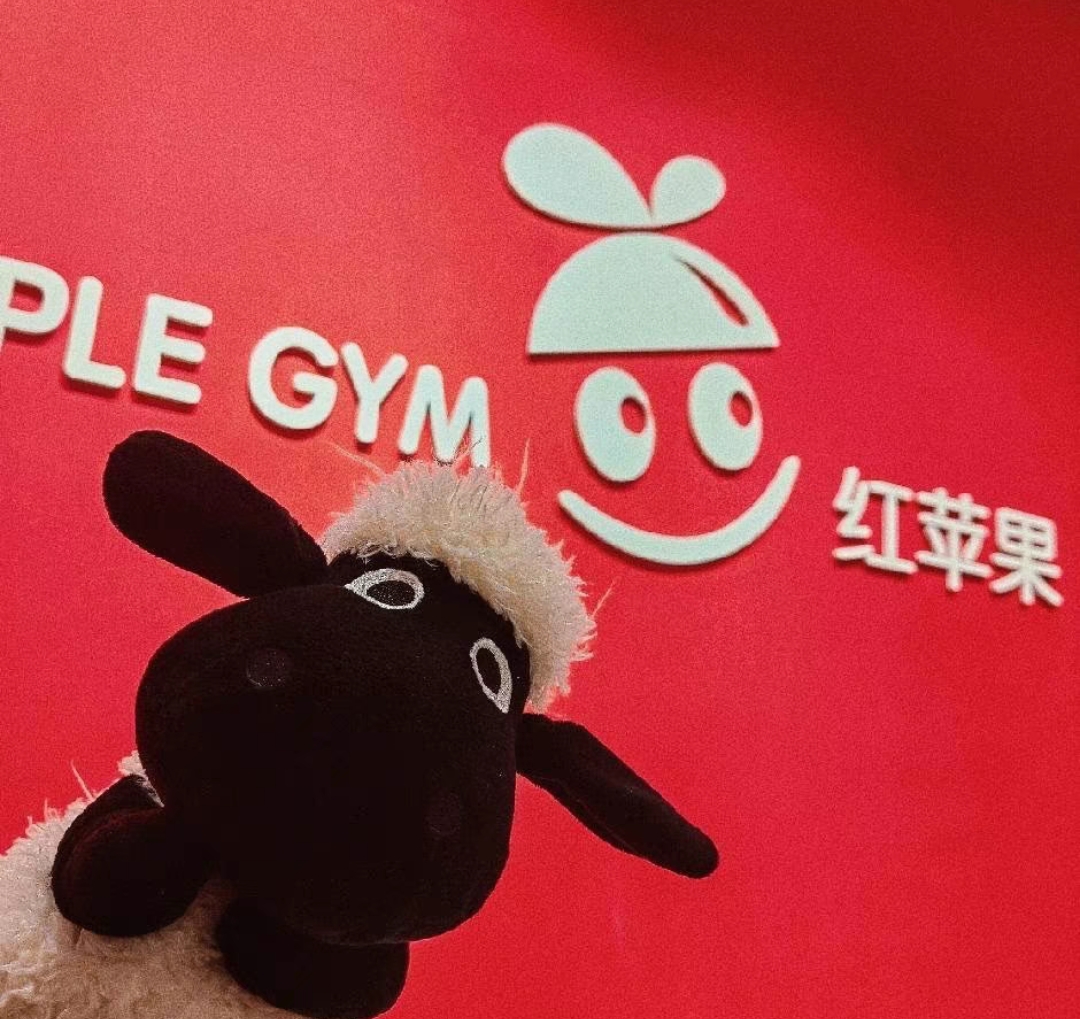 红苹果早教课程转让