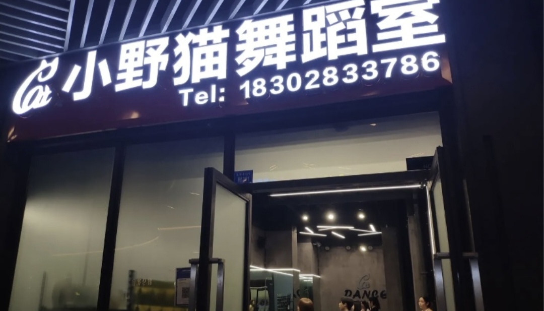 小野猫课程转让