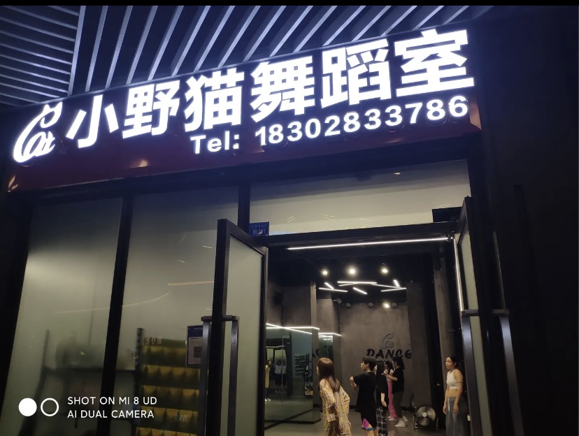 小野猫课程转让