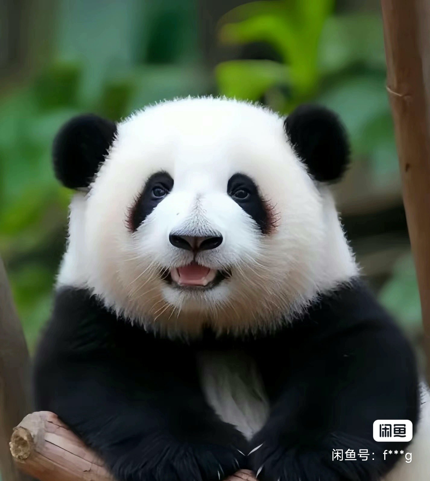 架子鼓课程转让
