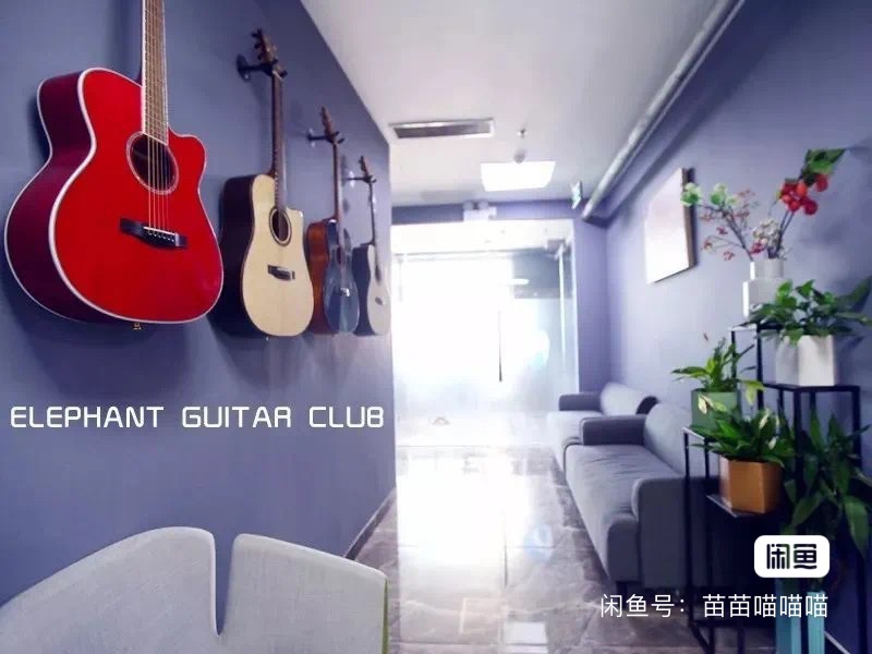 大象吉他俱乐部课程转让